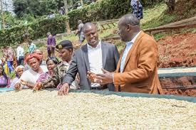 Embu Coffee Cooperative